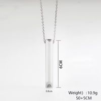 Casual Simple Style Whistle Stainless Steel Plating Unisex Pendant Necklace Long Necklace main image 6