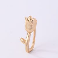 1 Piece Nose Rings & Studs Simple Style Solid Color Copper Inlay Zircon K Gold Plated sku image 28