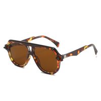 Simple Style Leopard Ac Toad Glasses Full Frame Men's Sunglasses sku image 3