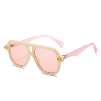 Simple Style Leopard Ac Toad Glasses Full Frame Men's Sunglasses main image 4