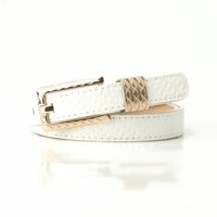 Elegant Basic Simple Style Solid Color Pu Leather Alloy Women's Leather Belts sku image 1