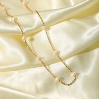 201 Stainless Steel Freshwater Pearl 18K Gold Plated Casual Simple Style Beaded Plating Ball Necklace main image 3