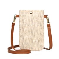 Women's Small Straw Solid Color Basic Square Magnetic Buckle Shoulder Bag Crossbody Bag Straw Bag main image 5