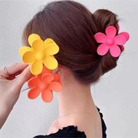 Women's Commute Korean Style Flower Plastic Resin Stoving Varnish Hair Claws sku image 6