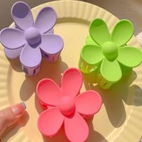 Women's Commute Korean Style Flower Plastic Resin Stoving Varnish Hair Claws main image 5