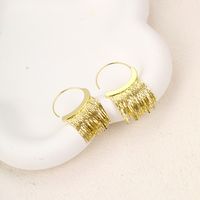 1 Pair Elegant Exaggerated Shiny Tassel Plating Alloy Silver Plated Drop Earrings main image 6