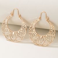 Alloy Vintage Flowers Earring  (alloy) Nhgy2167-alloy sku image 21