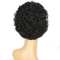 Women's Simple Style Street High Temperature Wire Curls Wigs main image 2