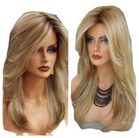 Women's Simple Style Casual High Temperature Wire Side Fringe Long Straight Hair Wigs main image 2