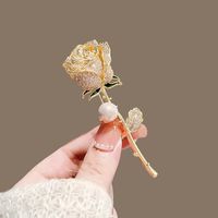 Élégant Fleur Alliage Incruster Perles Artificielles Strass Femmes Broches main image 1
