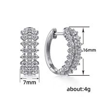 1 Pair Elegant Round Inlay Copper Zircon Earrings main image 3