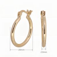 1 Pair Simple Style Classic Style Round Solid Color Plating Sterling Silver White Gold Plated Gold Plated Earrings sku image 4