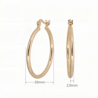 1 Pair Simple Style Classic Style Round Solid Color Plating Sterling Silver White Gold Plated Gold Plated Earrings sku image 8