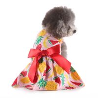 Pet Supplies  New Pet Clothes Rainbow Skirt Spring And Summer Pet Clothing Leopard Print main image 5