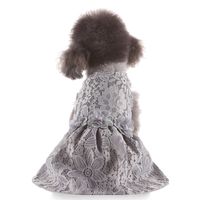 Pet Supplies  New Pet Clothes Rainbow Skirt Spring And Summer Pet Clothing Leopard Print main image 4