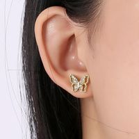 1 Pair Elegant Lady Star Heart Shape Butterfly Plating Inlay Copper Artificial Diamond Ear Studs sku image 12