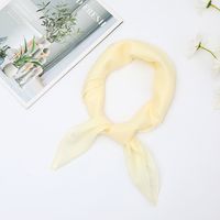 Women's Simple Style Classic Style Solid Color Chiffon Silk Scarf sku image 6