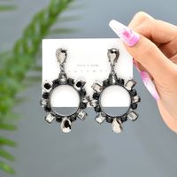 1 Pair Lady Circle Rhinestone Inlay Artificial Gemstones Women's Drop Earrings main image 6