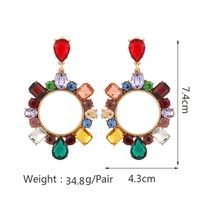 1 Pair Lady Circle Rhinestone Inlay Artificial Gemstones Women's Drop Earrings main image 9