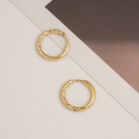 1 Paar Einfacher Stil Einfarbig Überzug Rostfreier Stahl Vergoldet Ohrringe main image 4