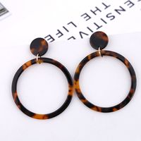 1 Pair Glam Leopard Patchwork Arylic Drop Earrings main image 5