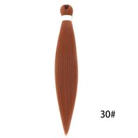 Unisex Simple Style Street Low Temperature Wire Long Straight Hair Wigs sku image 9