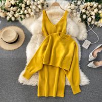 Daily Women's Simple Style Solid Color Blending Skirt Sets Skirt Sets main image 1