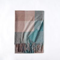 Women's Simple Style Color Block Imitation Cashmere Tassel Scarf sku image 7