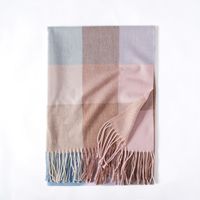 Women's Simple Style Color Block Imitation Cashmere Tassel Scarf sku image 4