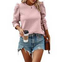 Women's Hoodie Long Sleeve Hoodies & Sweatshirts Pleated Casual Solid Color main image 3