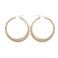 1 Pair Streetwear Oval Plating Stainless Steel Hoop Earrings main image 2