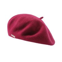 Women's Sweet Simple Style Solid Color Beret Hat sku image 5