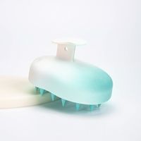 Lässig Einfarbig Pp Tpe Shampoo-bürste sku image 6