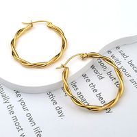 1 Pair Casual Modern Style Classic Style Solid Color Plating Stainless Steel 14k Gold Plated Hoop Earrings main image 1
