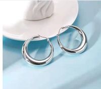 1 Pair Simple Style Classic Style Round Solid Color Stainless Steel Earrings sku image 1