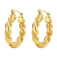 1 Pair Casual Solid Color 304 Stainless Steel Earrings main image 8
