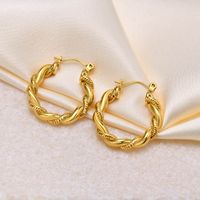 1 Pair Casual Solid Color 304 Stainless Steel Earrings main image 5