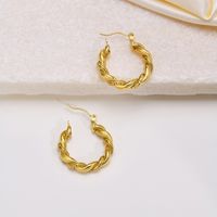 1 Pair Casual Solid Color 304 Stainless Steel Earrings main image 6