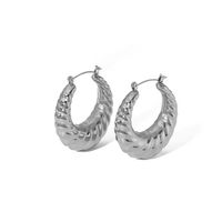 1 Pair Simple Style Classic Style Circle Twist Plating 304 Stainless Steel Hoop Earrings sku image 1