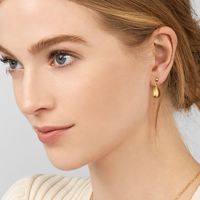 1 Pair Casual Classic Style Commute Solid Color 304 Stainless Steel Drop Earrings main image 1