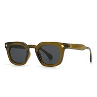 Einfacher Stil Farbverlauf Leopard Pc Quadrat Vollbild Sonnenbrille Der Frauen sku image 4