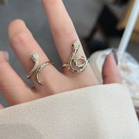 Novelty Snake Silver Plated Plating Inlay Rhinestones Women's Open Rings main image 5