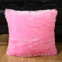 Casual Solid Color Pv Velvet Pillow Cases sku image 3