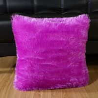 Casual Solid Color Pv Velvet Pillow Cases sku image 12