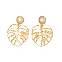 Ig Style Simple Style Leaves Alloy Plating Hollow Out Inlay Rhinestones Pearl Women's Drop Earrings 1 Pair main image 4