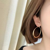 1 Pair Casual Elegant Simple Style Round Plating Copper Gold Plated Hoop Earrings main image 4
