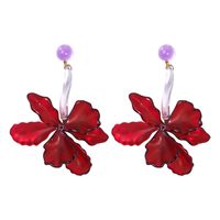 1 Pair Exaggerated Flower Transparent Plastic Drop Earrings main image 2
