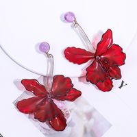 1 Pair Exaggerated Flower Transparent Plastic Drop Earrings main image 5