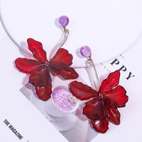 1 Pair Exaggerated Flower Transparent Plastic Drop Earrings main image 4