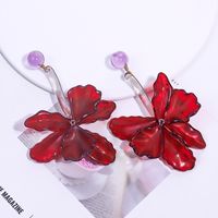1 Pair Exaggerated Flower Transparent Plastic Drop Earrings main image 1